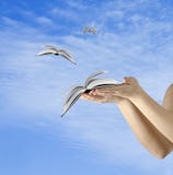 Books Flying From Hands Stock Images