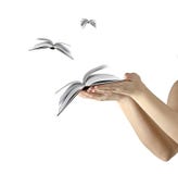 Books Flying From Hands Royalty Free Stock Photo