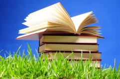 Books on grass. Educational concept.