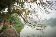 Boom in dalingsseizoen bij het meer van Hoan Kiem met de Vietnamese traditionele kleding Ao die Dai van de meisjesslijtage door m Royalty-vrije Stock Foto Boom in dalingsseizoen bij het meer van Hoan Kiem met de Vietnamese traditionele kleding Ao die Dai van de meisjesslijtage door m Royalty-vrije Stock Foto