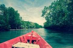  Boot in mangrove bosrayong, Thailand Royalty-vrije Stock Foto