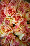 Boquet of colourful roses