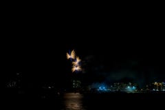 A borboleta gosta de fogos-de-artifício na véspera de Ano Novo fotos de stock A borboleta gosta de fogos-de-artifício na véspera de Ano Novo fotos de stock