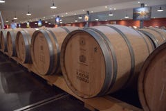 Bordeaux, Frankreich - 6. Juni 2017: Weine, die in den traditionellen großen Eichenfässern im Weinkeller gären stockfotografie Bordeaux, Frankreich - 6. Juni 2017: Weine, die in den traditionellen großen Eichenfässern im Weinkeller gären stockfotografie