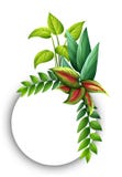 Border template with green leaves vector illustration Border template with green leaves vector illustration