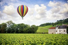 borgogna Mongolfiera sopra le vigne della Borgogna france fotografia stock borgogna Mongolfiera sopra le vigne della Borgogna france fotografia stock