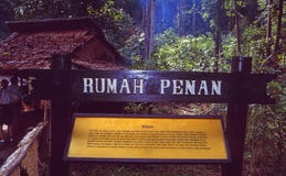 Borneo: Visiting a Iban head hunter village with the indigenious Penan people in the rain forest stock image Borneo: Visiting a Iban head hunter village with the indigenious Penan people in the rain forest stock image