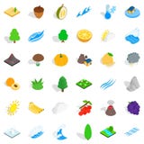 Bos geplaatste paddestoelpictogrammen, isometrische stijl Stock Foto's Bos geplaatste paddestoelpictogrammen, isometrische stijl Stock Foto's
