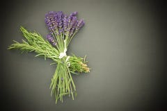 Bos van uitgelezen Rosemary en lavendel stock fotografie Bos van uitgelezen Rosemary en lavendel stock fotografie