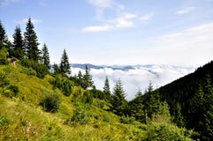 Bosque en las montañas en un fondo de nubes imágenes de archivo libres de regalías Bosque en las montañas en un fondo de nubes imágenes de archivo libres de regalías