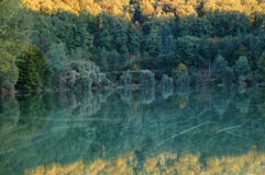Bosque y lago del otoño del vintage fotografía de archivo libre de regalías Bosque y lago del otoño del vintage fotografía de archivo libre de regalías