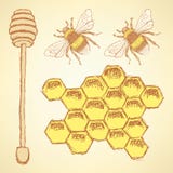 Bosqueje las células, el palillo y la abeja de la miel en estilo del vintage libre illustration Bosqueje las células, el palillo y la abeja de la miel en estilo del vintage libre illustration
