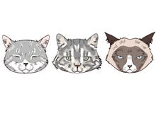 Bosquejos coloridos de las cabezas del gato Retratos de los gatos en el fondo blanco libre illustration Bosquejos coloridos de las cabezas del gato Retratos de los gatos en el fondo blanco libre illustration
