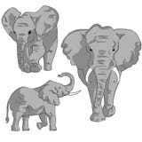 Bosquejos del elefante en el fondo blanco Fije en de elefantes del color ilustración del vector Bosquejos del elefante en el fondo blanco Fije en de elefantes del color ilustración del vector