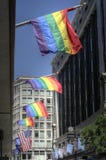 Boston downtown with US and Rainbow flags