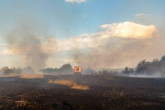 Boswildfire toe te schrijven aan droog winderig weer Brandmotor met brandbestrijders die vlam, Blauwe die hemel behandelen met zw royalty-vrije stock fotografie Boswildfire toe te schrijven aan droog winderig weer Brandmotor met brandbestrijders die vlam, Blauwe die hemel behandelen met zw royalty-vrije stock fotografie