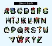 Botanical alphabet with wild and tropical flowers, poppy, chamomile and other. Vector illustration. royalty free illustration Botanical alphabet with wild and tropical flowers, poppy, chamomile and other. Vector illustration. royalty free illustration