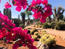 Botanical garden Botanicactus near Ses Salines on Mallorca cactus garden. royalty free stock images Botanical garden Botanicactus near Ses Salines on Mallorca cactus garden. royalty free stock images