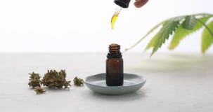 Botella de Cannabidiol que es llenado almacen de video Botella de Cannabidiol que es llenado almacen de video