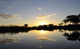 Botswana: Por do sol nos Okavango-Delta-pântanos imagem de stock royalty free Botswana: Por do sol nos Okavango-Delta-pântanos imagem de stock royalty free
