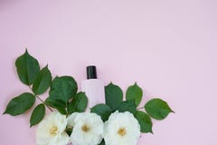 Bottiglia dei cosmetici femminili con i fiori bianchi sul fondo rosa di colore, spazio della copia immagine stock libera da diritti Bottiglia dei cosmetici femminili con i fiori bianchi sul fondo rosa di colore, spazio della copia immagine stock libera da diritti