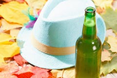 Bottle of Beer glass pint octoberfest picnic on natural background with hat and autumn leaves stock images Bottle of Beer glass pint octoberfest picnic on natural background with hat and autumn leaves stock images