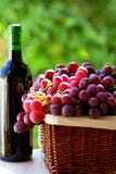 Bottle Of Red Wine And Grapes Royalty Free Stock Images