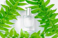 A bottle of white perfume and flowers with leaves. stock images A bottle of white perfume and flowers with leaves. stock images