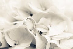 Boucles de mariage avec des fleurs images stock Boucles de mariage avec des fleurs images stock