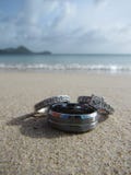 Boucles de mariage sur la plage photo stock Boucles de mariage sur la plage photo stock