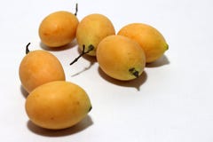 Boueamacrophylla, als gandaria gezette stapel op witte achtergrond algemeen wordt bekend die stock afbeelding Boueamacrophylla, als gandaria gezette stapel op witte achtergrond algemeen wordt bekend die stock afbeelding