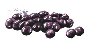 Boule de tapioca, boba dans le thé de bulle Ingrédients pour faire le thé de lait de perle Concept de nourriture Illustration tir illustration de vecteur Boule de tapioca, boba dans le thé de bulle Ingrédients pour faire le thé de lait de perle Concept de nourriture Illustration tir illustration de vecteur