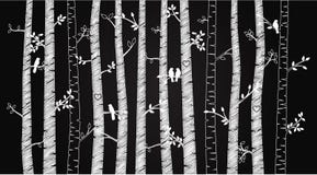 Bouleau ou Aspen Trees de tableau de vecteur avec Autumn Leaves et des oiseaux d'amour illustration libre de droits Bouleau ou Aspen Trees de tableau de vecteur avec Autumn Leaves et des oiseaux d'amour illustration libre de droits