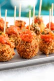 Boules panées de fromage de mozzarella - apéritifs de partie image stock Boules panées de fromage de mozzarella - apéritifs de partie image stock