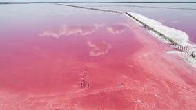 Boundless nature scenery pink salt lake water