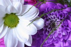 Bouquet Bouquet