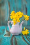 Bouquet of Anemone, windflower in jug Royalty Free Stock Photos Bouquet of Anemone, windflower in jug Royalty Free Stock Photos