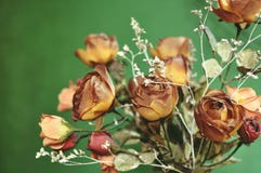 A bouquet of autumn brown colored artificial roses on green background royalty free stock photography A bouquet of autumn brown colored artificial roses on green background royalty free stock photography