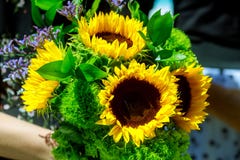 bouquet of beautiful flowers with sunflower on Floristry concept. Spring colors. stock image bouquet of beautiful flowers with sunflower on Floristry concept. Spring colors. stock image