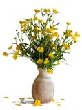 buttercup flower bouquet buttercup flower bouquet