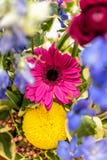 Bouquet de fleur de Gerbera photos stock Bouquet de fleur de Gerbera photos stock