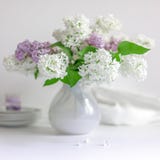 Bouquet de lilas sur la table photographie stock libre de droits Bouquet de lilas sur la table photographie stock libre de droits