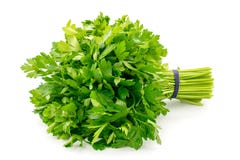 Bouquet de persil sur un fond blanc images stock Bouquet de persil sur un fond blanc images stock