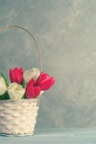 Bouquet de ressort des tulipes dans le panier sur la planche en bois de cru Femme ou fête des mères photos libres de droits Bouquet de ressort des tulipes dans le panier sur la planche en bois de cru Femme ou fête des mères photos libres de droits