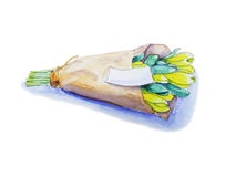 Bouquet de tulipe d'aquarelle illustration stock Bouquet de tulipe d'aquarelle illustration stock