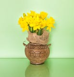 Bouquet des jonquilles dans un vase décoratif fait d'une noix de coco Shell photographie stock Bouquet des jonquilles dans un vase décoratif fait d'une noix de coco Shell photographie stock