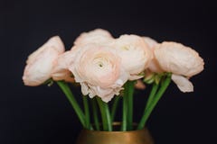 Bouquet des renoncules sensibles roses des supports de fleurs sur une table en bois dans un vase d'or photo libre de droits Bouquet des renoncules sensibles roses des supports de fleurs sur une table en bois dans un vase d'or photo libre de droits