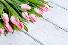 Bouquet des tulipes de ressort sur des conseils image stock Bouquet des tulipes de ressort sur des conseils image stock