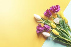 Bouquet des tulipes photographie stock libre de droits Bouquet des tulipes photographie stock libre de droits
