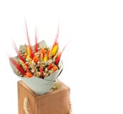 A bouquet of dry wildflowers, free space for advertising information or advertising text royalty free stock image A bouquet of dry wildflowers, free space for advertising information or advertising text royalty free stock image
